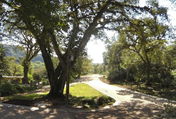 Vista 1 del fraccionamiento