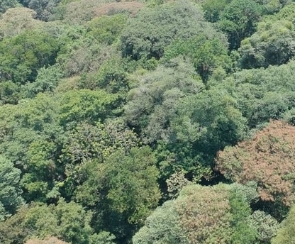 Vista 3 del fraccionamiento