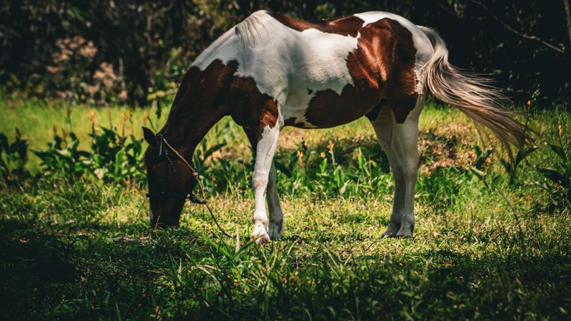Terrenos entrega inmediata